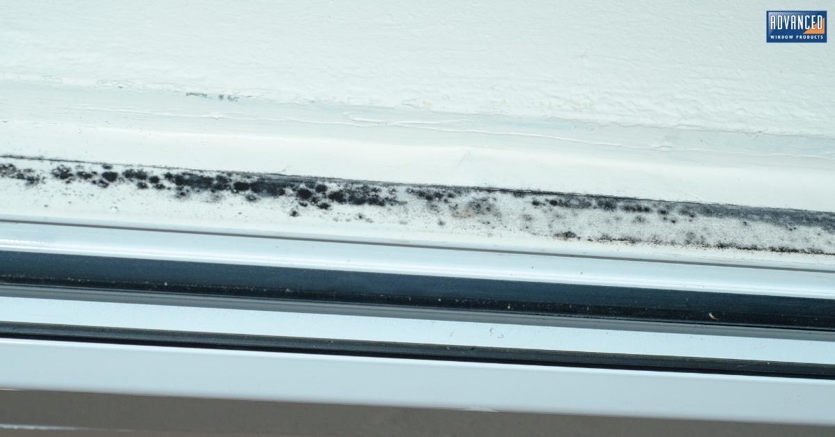 Tips on How to Prevent and Get Rid of Mold on Window Sills