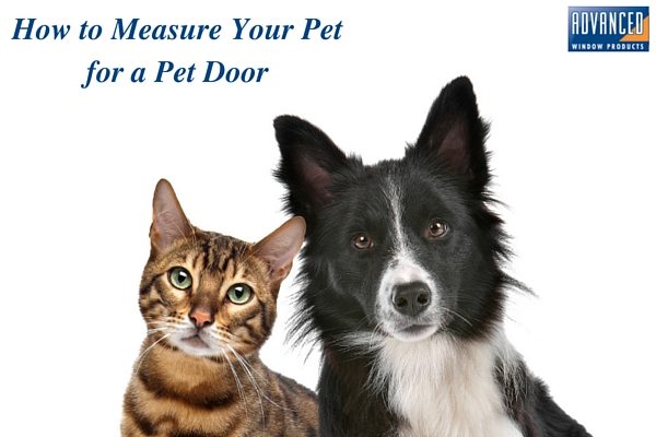How to Measure Your Pet for a Pet Door