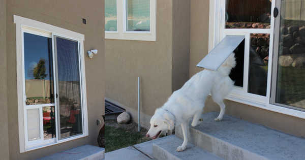 Dog going out a doggie door - Advanced Window Products Sliding Glass Doors for Pets